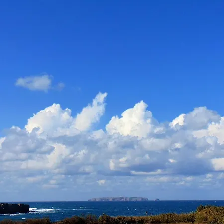 Surf - Ocean View